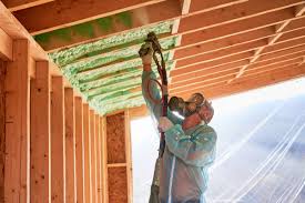 Professional Insulation in Chandler, TX